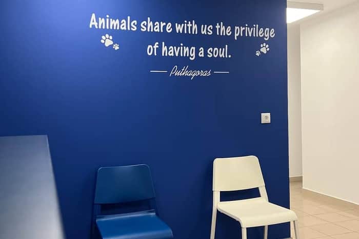Veterinary Clinic Kolonaki