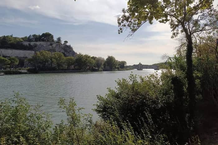 Île de la Barthelasse Riverbank