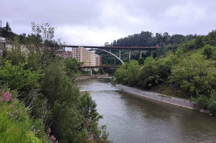 Parque Ibaieder (Riverside Off-Leash)
