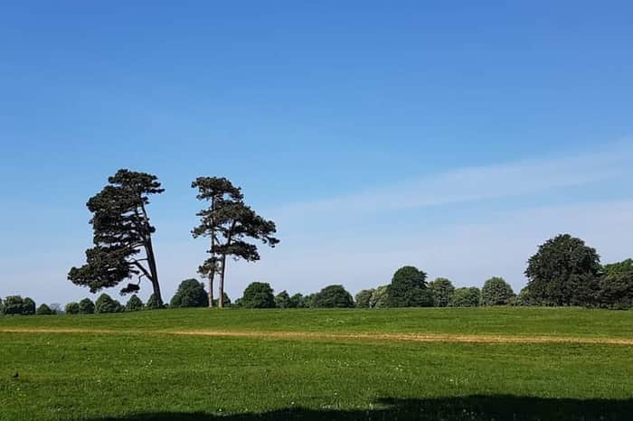 The Downs (Clifton & Durdham)