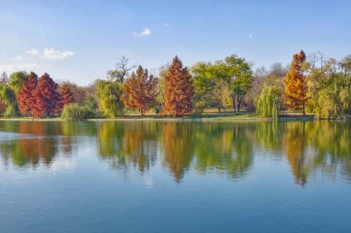 Tineretului Park
