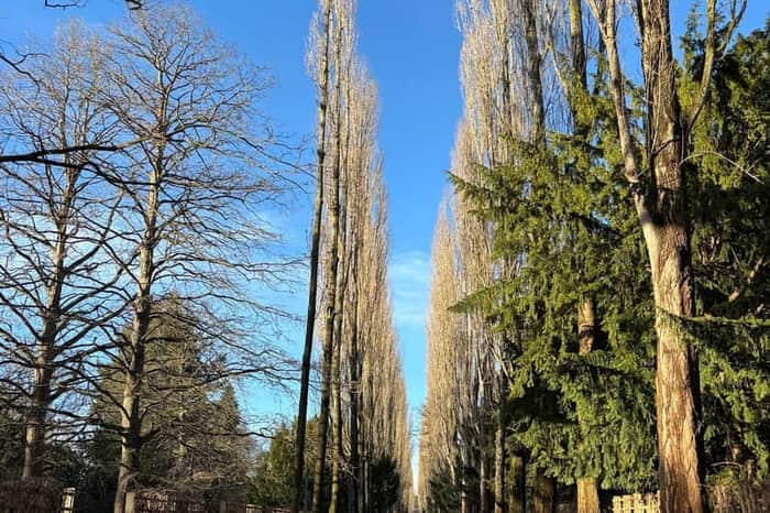 Assistens Cemetery