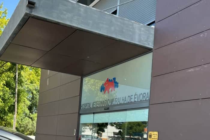 Centro Veterinário de Évora