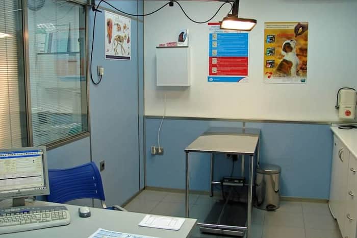 Clínica Veterinaria Es Pujols