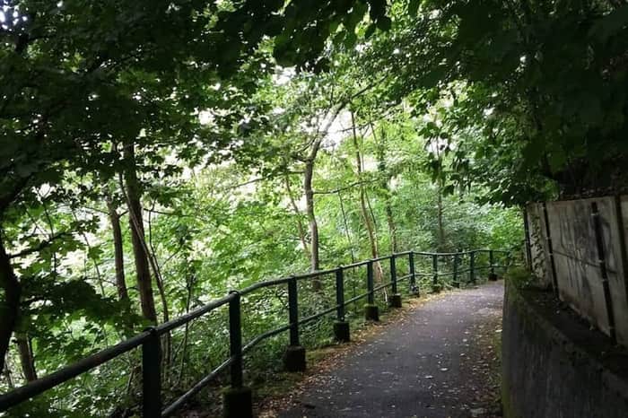 Bois de la Bâtie