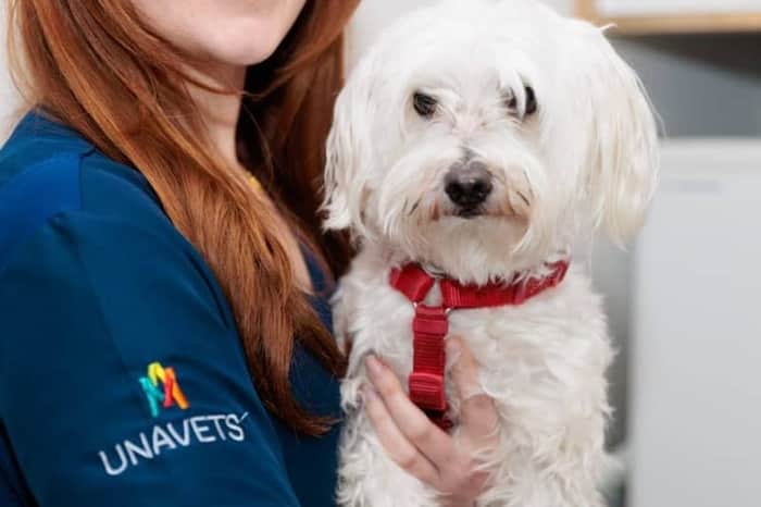Hospital Veterinario Tartanga UNAVETS (24h)