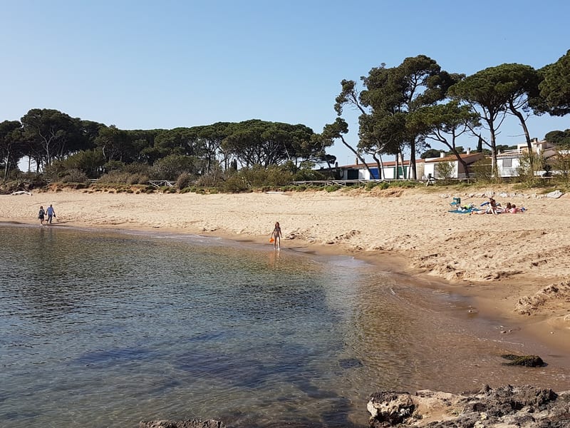 Platja del Rec del Molรญ