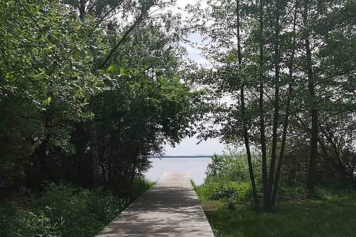 Steinhuder Meer Hundestrand