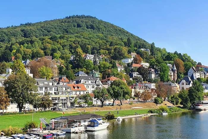 Neckarwiese