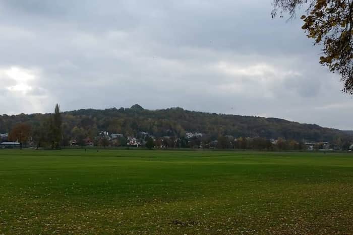 Błonia Meadow