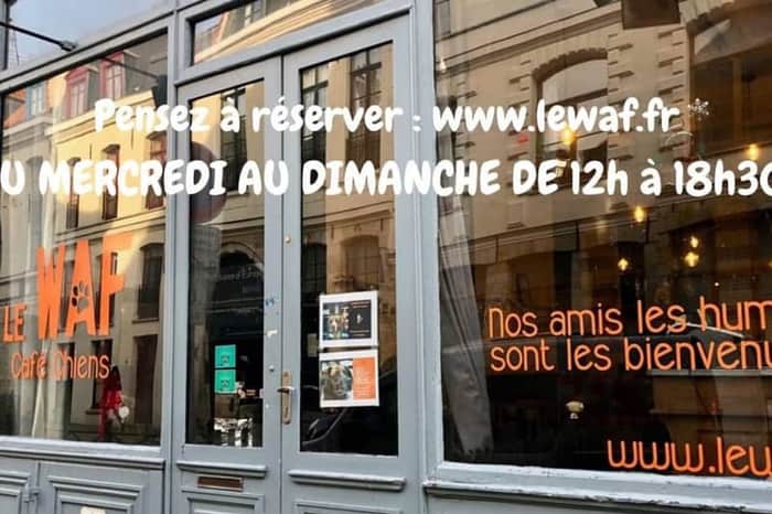 Le Waf, Café à Chiens