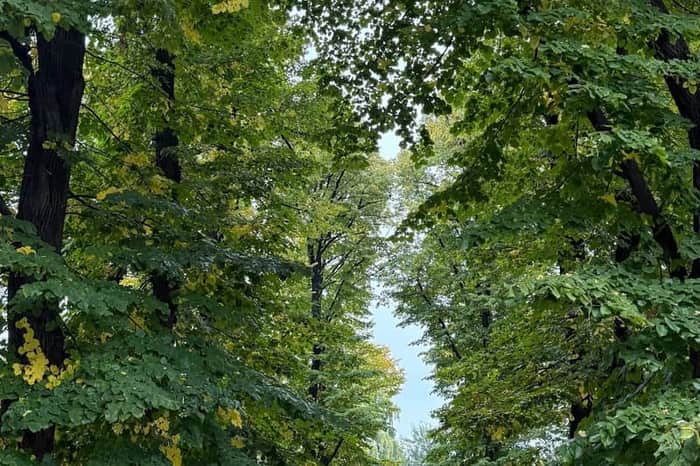 Giardini Pubblici Indro Montanelli