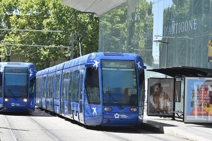 TAM Tram Network (Lines 1–4)