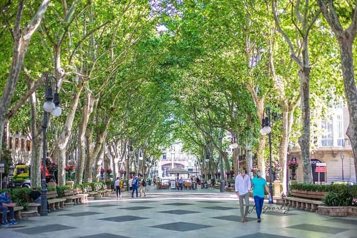 Passeig des Born