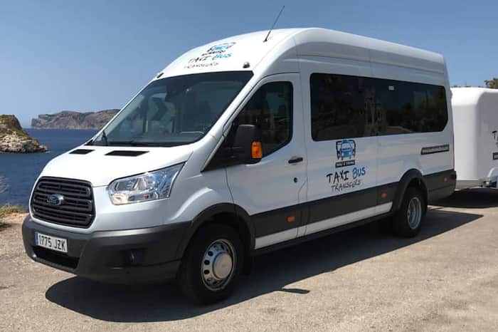 Pet-Friendly Taxis