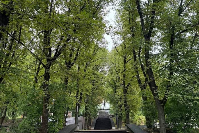Grīziņkalns Park Dog Area
