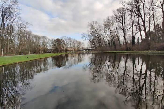 Zuiderpark, Hondeneiland
