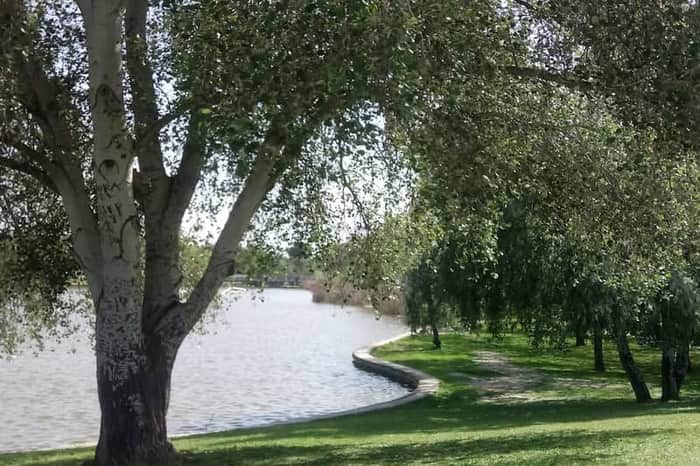 Parque del Alamillo