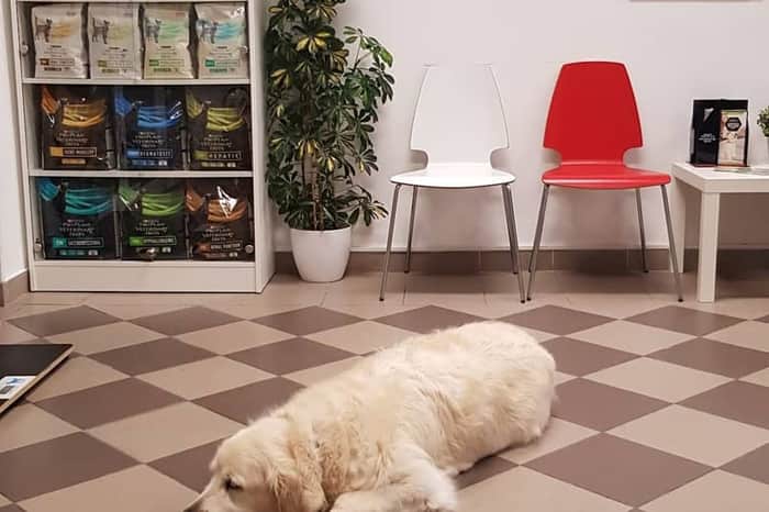 Veterinarska Ambulanta Strmica