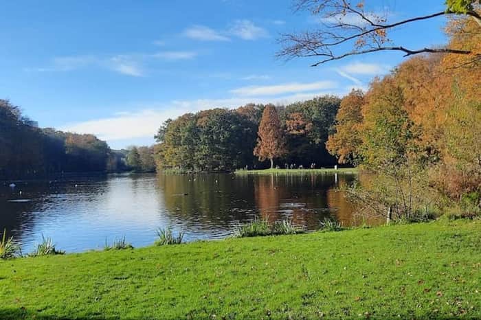 Haagse Bos