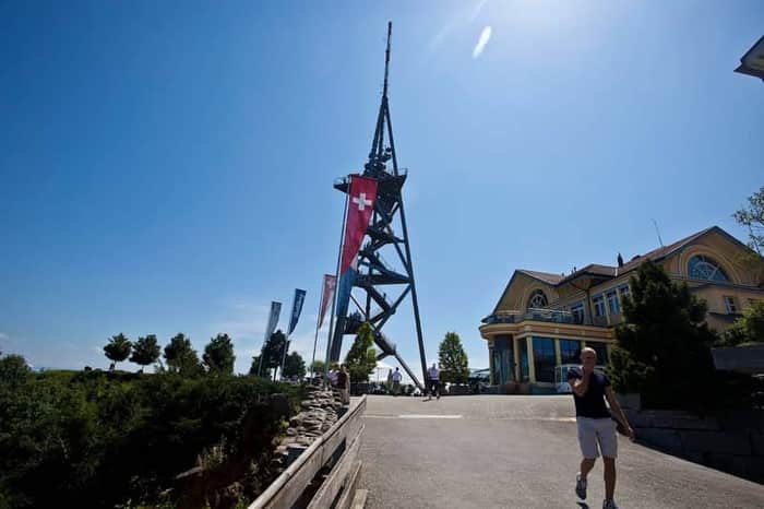 Uetliberg Hill & Forest