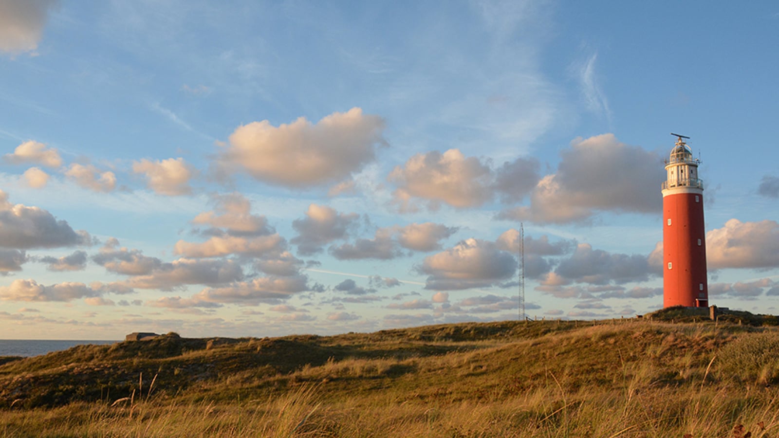 Texel