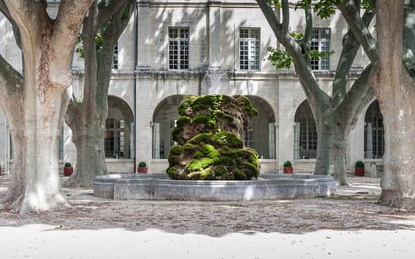 Hôtel Cloître Saint Louis: Se admiten gatos hotel in Avignon