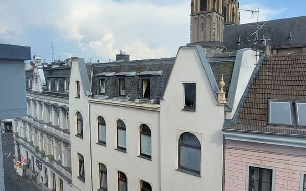 Hotel Deutsches Haus: Cat-friendly hotel in Bonn