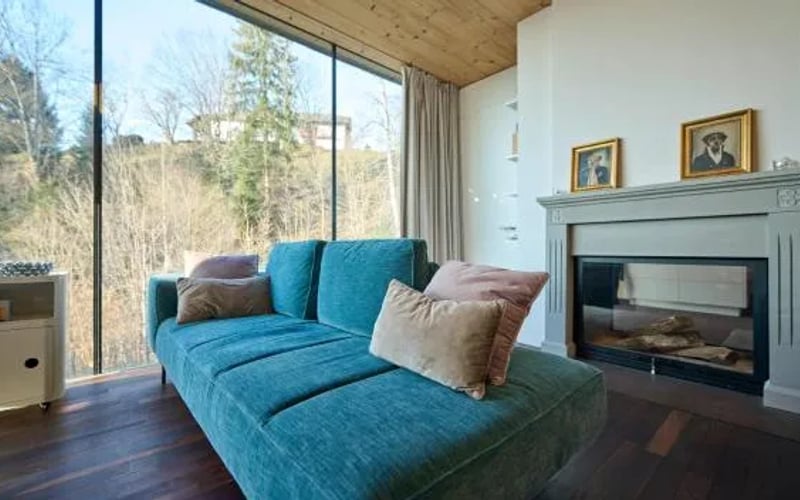 Luxus Design Apartment mit Panoramafenster - See - & Waldblick, wechselnde Kunst zum Erwerb: Cat-friendly hotel in Bregenz