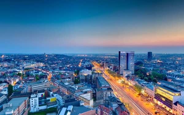 The Hotel Brussels: Cat-friendly hotel in Brussels