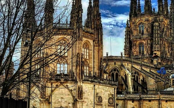 Hotel Los Braseros: Cat-friendly hotel in Burgos