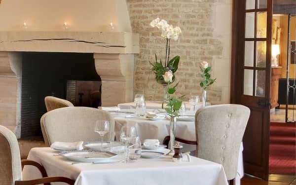 Hôtel Le Dauphin Caen: Cat-friendly hotel in Caen