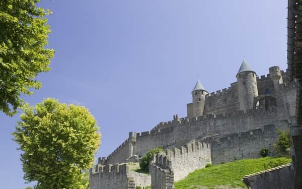 Hôtel Espace Cité: Cat-friendly hotel in Carcassonne