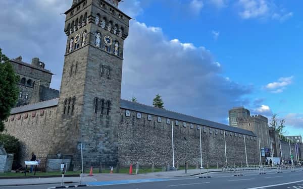 The Angel Hotel Cardiff: Cat-friendly hotel in Cardiff
