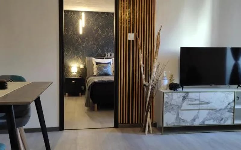 Les Souvenirs d'Alsace: Cat-friendly hotel in Colmar