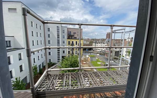 Hotel Eigelstein: Cat-friendly hotel in Cologne