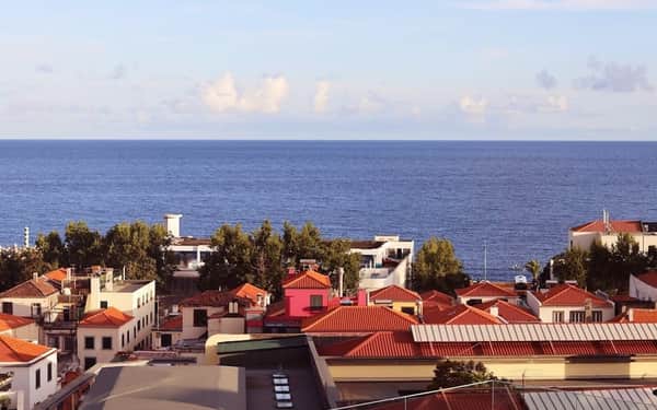 Three House Hotel: Cat-friendly hotel in Funchal