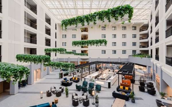 Sheraton Grand Krakow: Cat-friendly hotel in Krakow