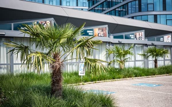 Ibis Styles Linz: Se admiten gatos hotel in Linz