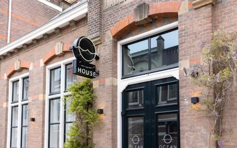 Ocean House Scheveningen: Cat-friendly hotel in Scheveningen