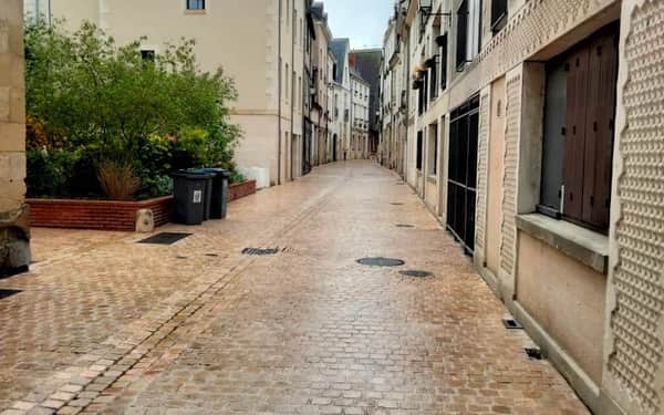 Mercure Tours Centre Gare et Congrès: Cat-friendly hotel in Tours
